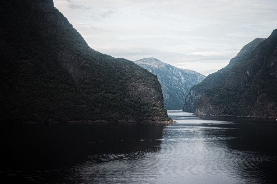 Norwegian fjord between steep forested mountains