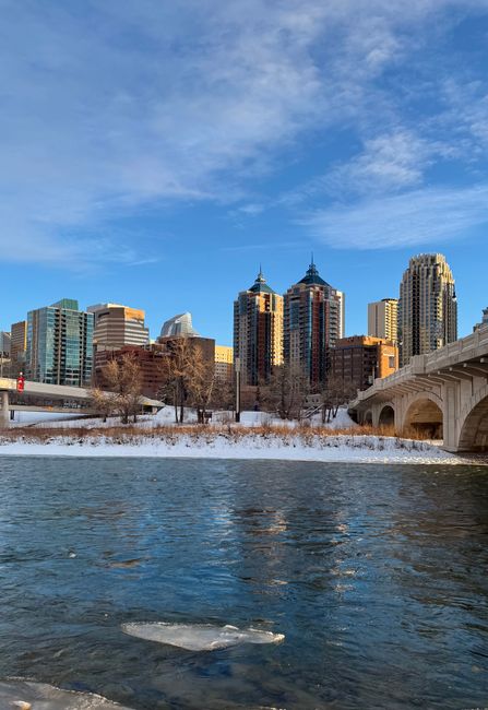 Newcomer reviewing a dated relocation deadline tracker beside official documents